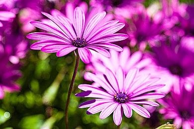 尼尔德鲁克曼疲倦了想转型 不想再开发更多游戏